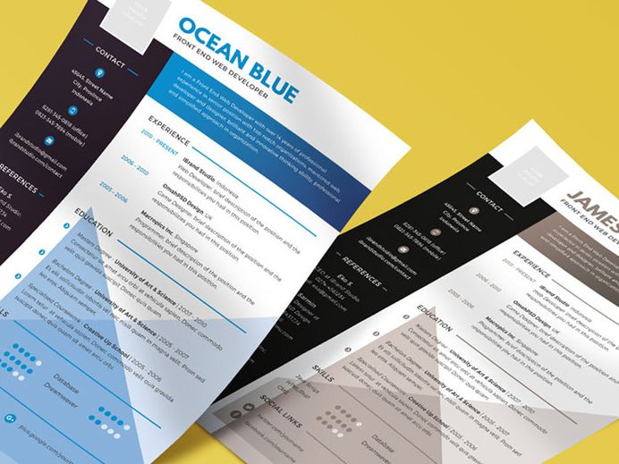 Malino Resume - Free Resume Template with Premium Quality Design