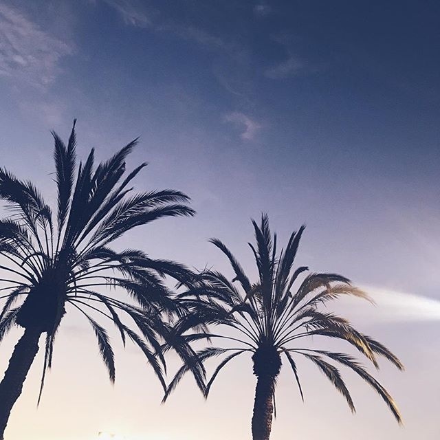 🌙