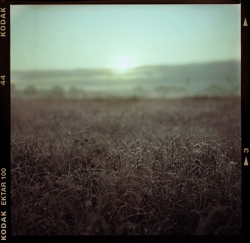 Daily Inspiration #41 - A Creative Universe