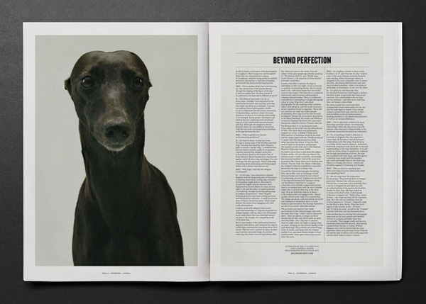 Four | BEYOND THE SCREEN #print #dog
