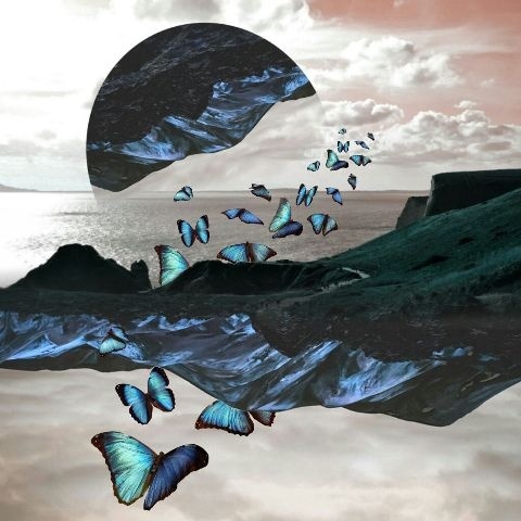Photography#editorial#picture#image#photo Editor#butterfly#surreal