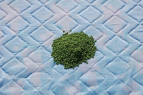 All sizes | museum peas | Flickr - Photo Sharing! #peas #photography #bed #blue #green