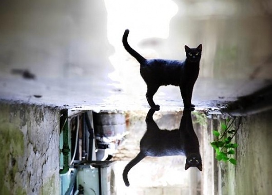 Photography by Gilad Benari | Cuded #gilad #photography #benari