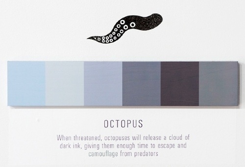 Artist Creates Minimalist Posters That Document Color Changes - DesignTAXI.com #dearie #of #color #octopus #marin #poster #change #spectrum #minimalist #shades