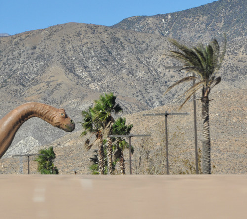 _CA+ __california ___Cabazon, dinosaur PHOTOGRAPHIE © [ catrin mackowski ]