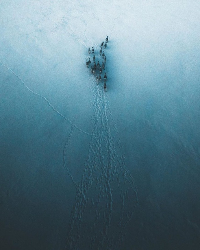 Outstanding Wildlife and Adventure Photography by Charly Savely