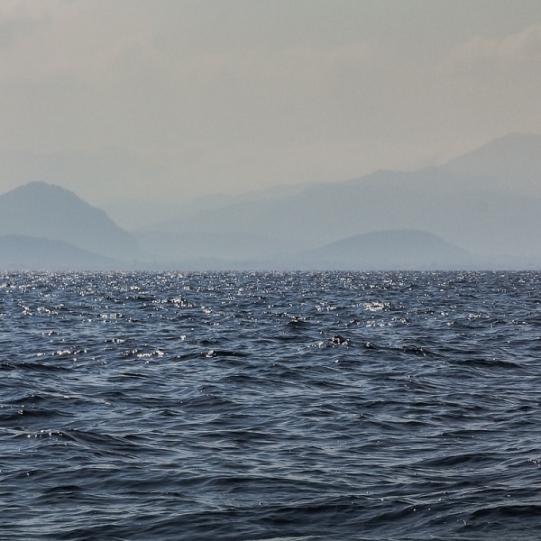 two halves #twohalves #foto #photography #art #horizon