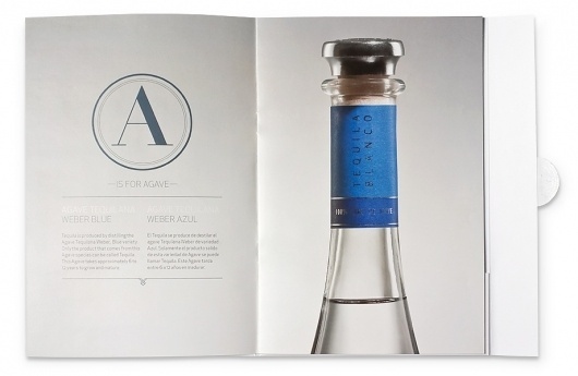 Face. Works. / Tequila 29. #print #29 #face #tequila