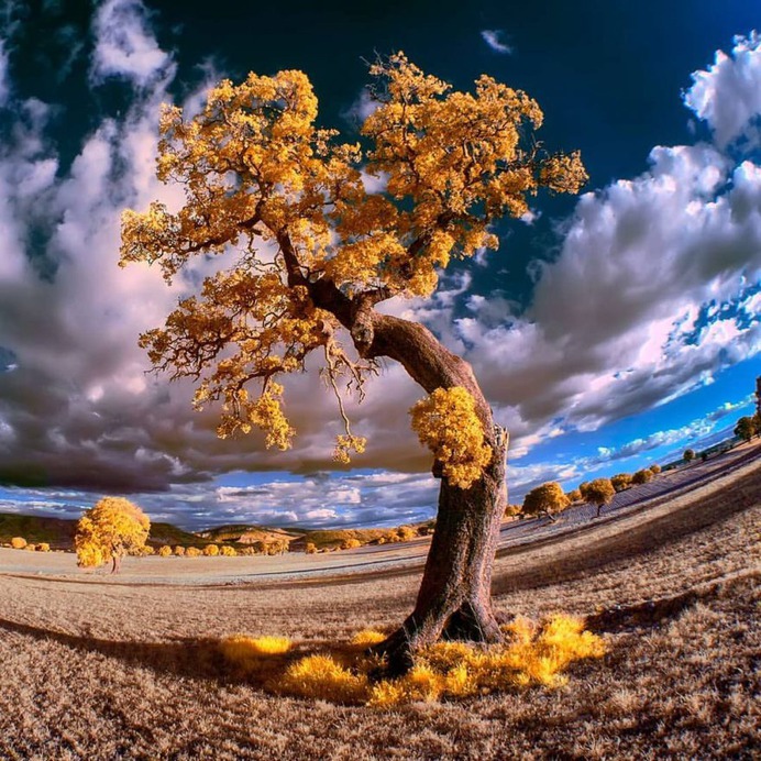 Beautiful Infrared Landscape Photography by Marta Borreguero