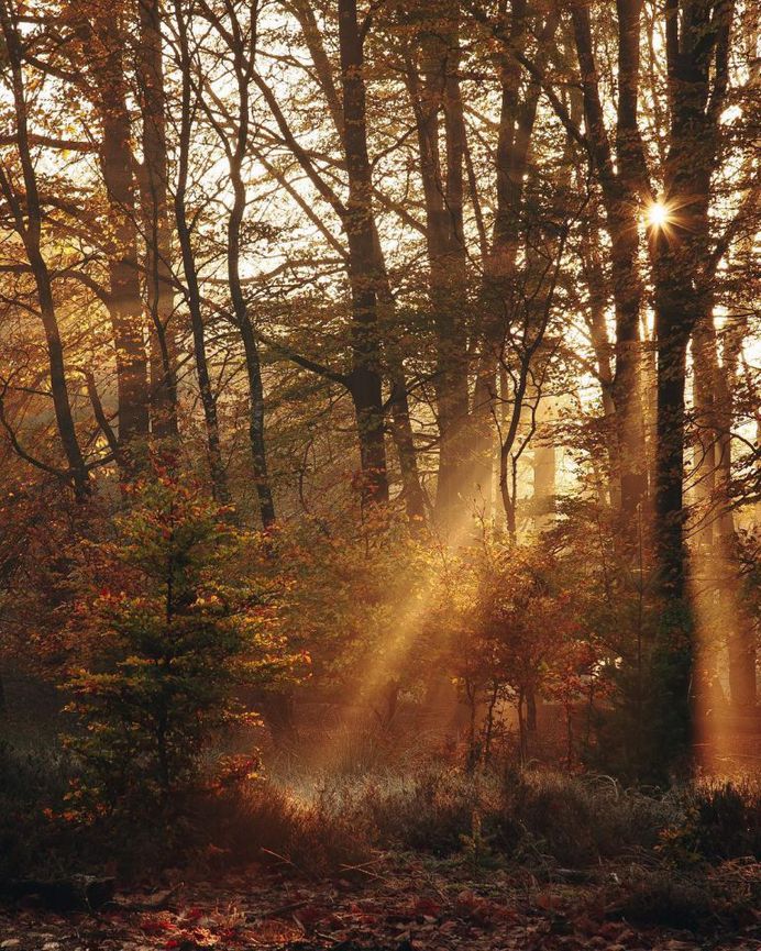 Ronald Jansen Captures the Beauty of Netherlands Through Stunning Landscapes