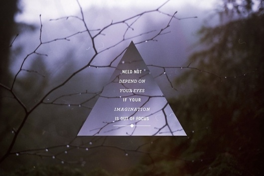 forestpark1 | Experiment with Nature #julian #this #bialowas #is #photography #shwood #oregon