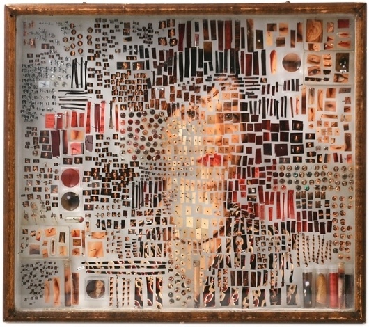Dissected Portraits Preserved in Specimen Boxes - My Modern Metropolis #specimen #box