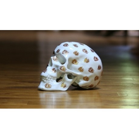 skull Salutation by NooN x K.Olin tribu