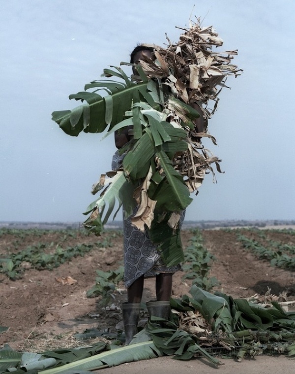 Photographer Jackie Nickerson #inspiration #photography