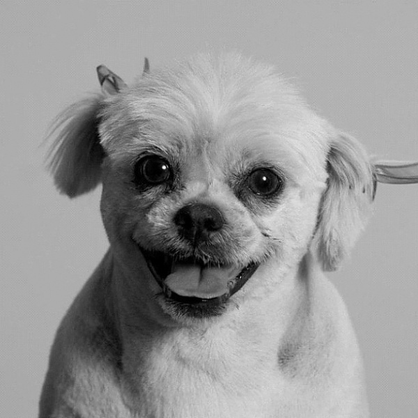Lola | Flickr - Photo Sharing! #photography