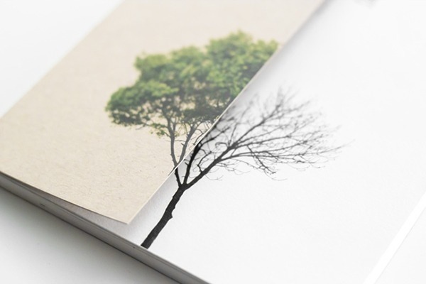 Interesting Cover Design
