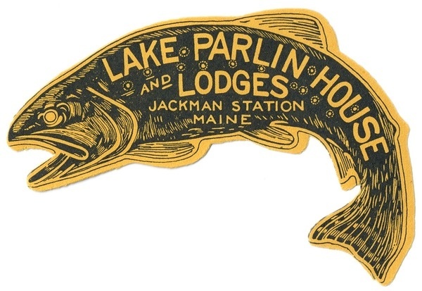 : Photo #illustration #fish #vintage #typography