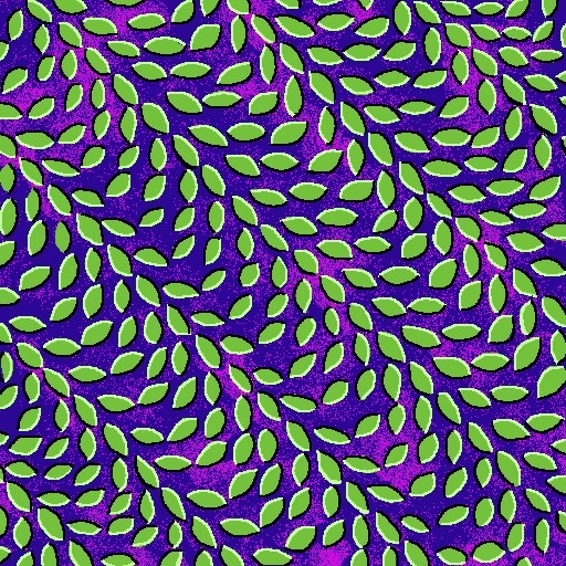 xgideu.gif 512×512 pixels #optical #animal #collective