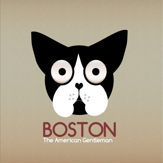 14-2.png (1000×1000) #boston #identity #terrier #logo #dog
