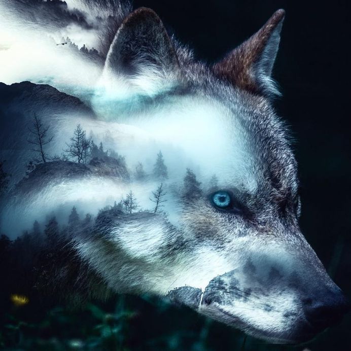 Dreamlike Multi Exposure Photo Manipulations by Paul Haag