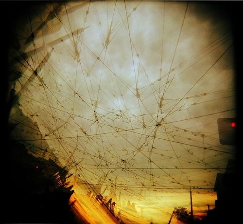 holga tram wires | Flickr - Photo Sharing! #brown #innes #photography #hamish