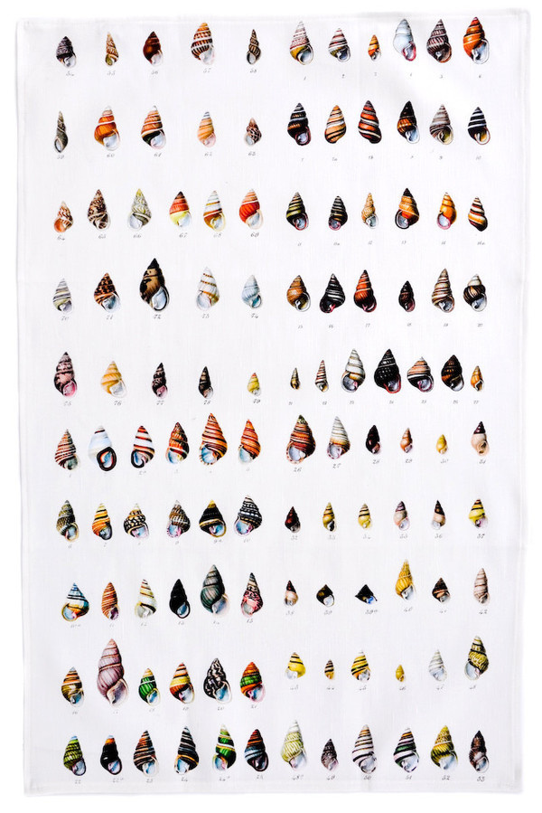Shells Tea Towel #towel #pattern #shell #textille