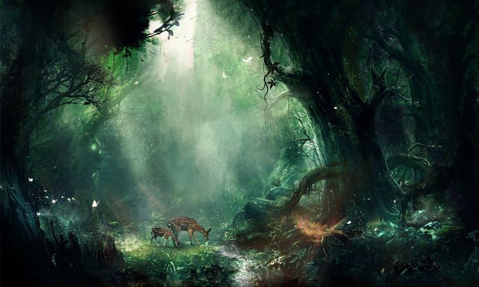 Forest Landscape Deer High Resolution Wallpaper – WallpapersBae