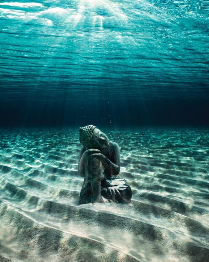 Outstanding Wildlife and Landscape Photography by Pepe Soho