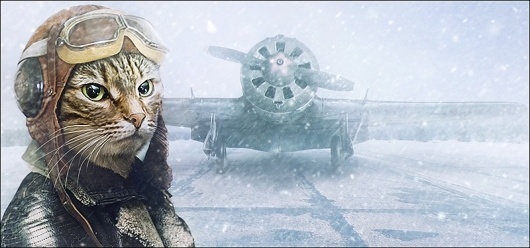 SHD, c'mon | www.theshd.com #fantasy #matte #inspire #cat #snow #pilot #plane #art #winter