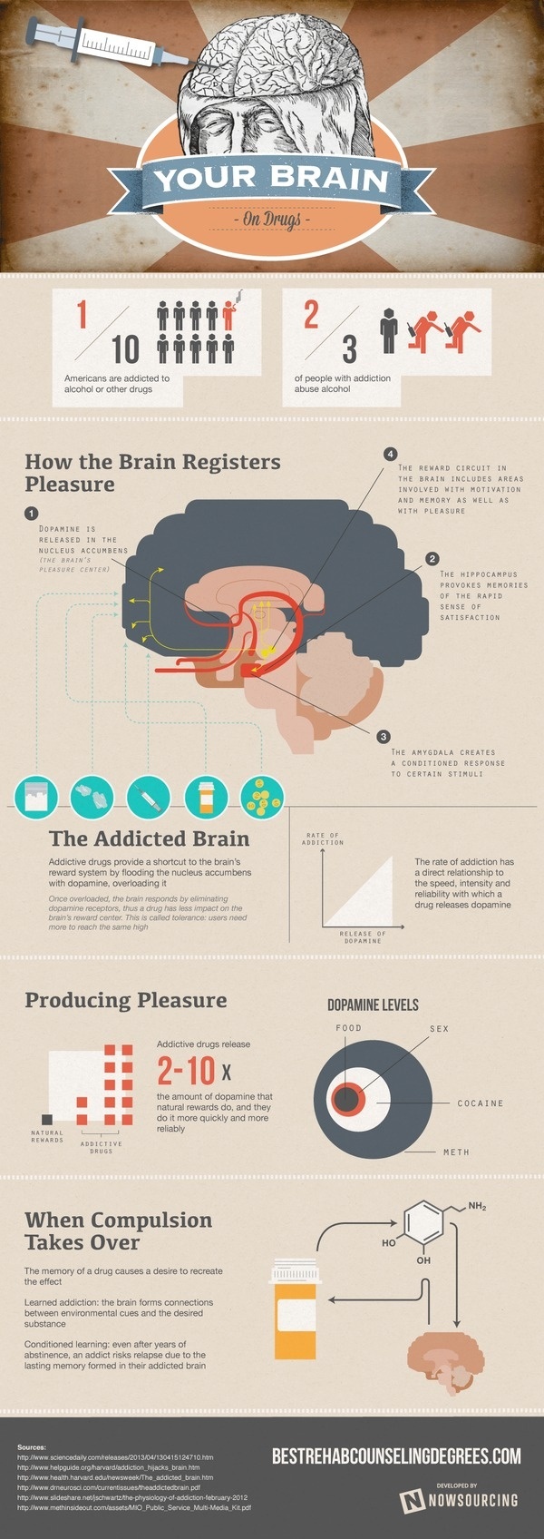 Your Brain on Drugs #infographic
