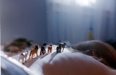 Sarah Margeurite #horses #toys #photography