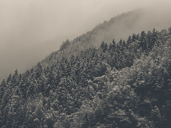 CHAMONIX MONT-BLANC on Photography Served #photography #winter