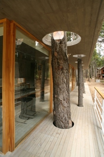 WANKEN - The Blog of Shelby White » The House Among Trees #argentina #wood #cement #architecture