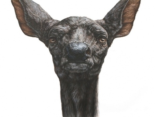 P·P·O·W | George Boorujy | Selected Work #illustration