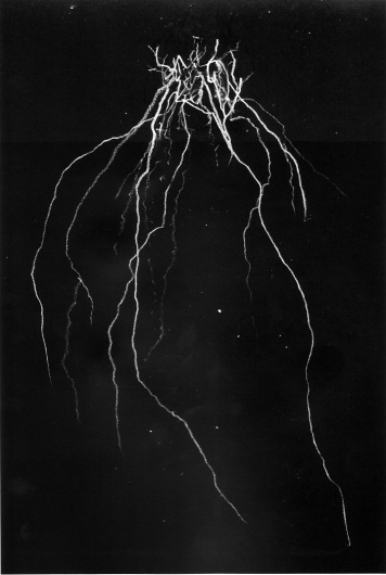 history of our world #metal #chalk #black #art