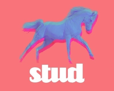 tumblr_m3448bCY1G1rrh7rdo1_400.jpg (400×319) #stud #horse #red #pink #stallion #logo