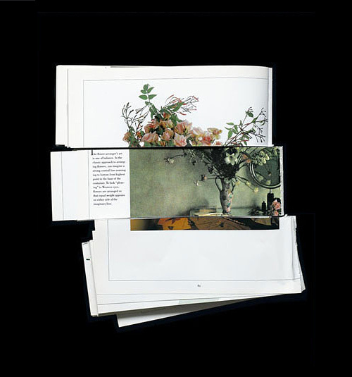 James Henkel, Arrangement, 2011 #photography #collage #arrangement