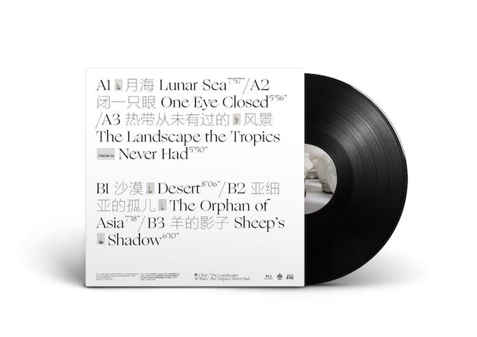 Chuiwan_vinyl_back_mockup