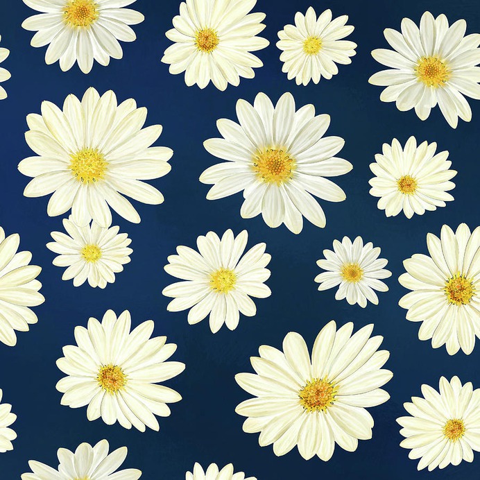 daisy painting & daisy paint by number #painting
