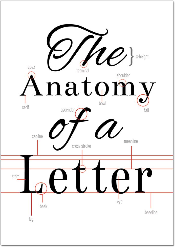 The Anatomy of a Letter (Printable)