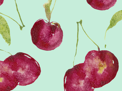 Watercolor illustration of cherry