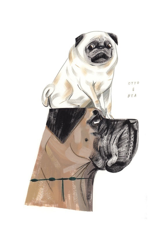 Otto + Bea - pingszoo #illustration #pug #dog