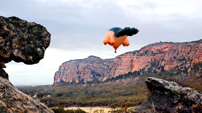 The Skywhale - Patricia Piccinini #australia