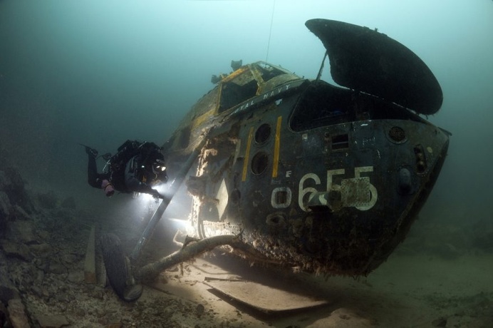 The Stunning Winners Of The 2017 Underwater Photographer Of The Year