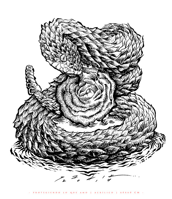 PROTEGIENDO LO QUE AMO... on Behance https://www.behance.net/gallery/20640219/PROTEGIENDO-LO-QUE-AMO #negro #ink #white #blanco #and #pintura #sadik #rose #mexico #guanajuato #serpiente #y #black #snake #engraving #engrave #vibora #textura #grabado #ilustracion