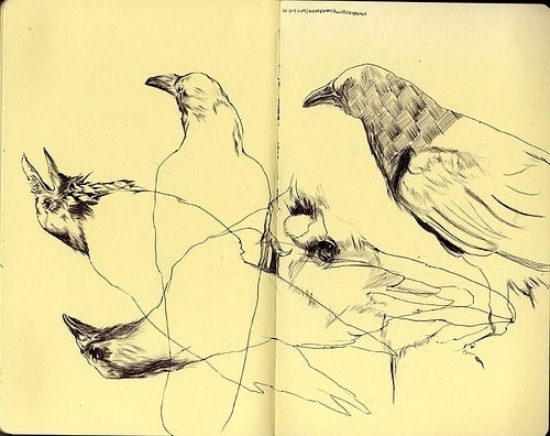 Donny Nguyen - BOOOOOOOM! - CREATE * INSPIRE * COMMUNITY * ART * DESIGN * MUSIC * FILM * PHOTO * PROJECTS #sketchbook #donny #bird #nguyen #crow #sketch