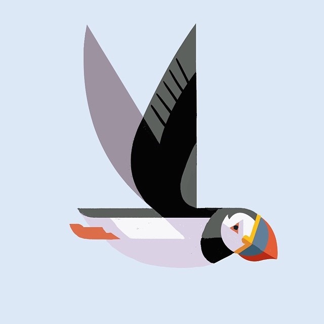 Atlantic Puffin by Josh Brill #icon #iconic #picto #illustration #animal #bird #puffin