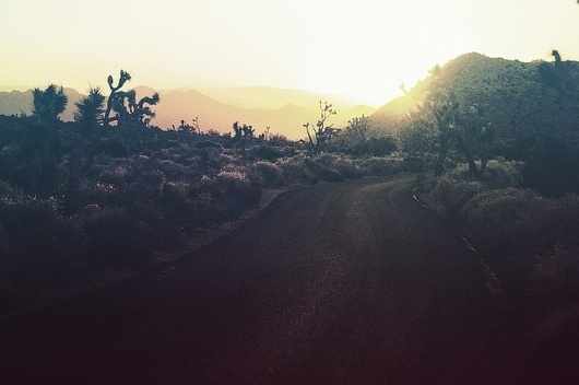 Untitled | Flickr - Photo Sharing! #road #photography #horizon #sunset #desert