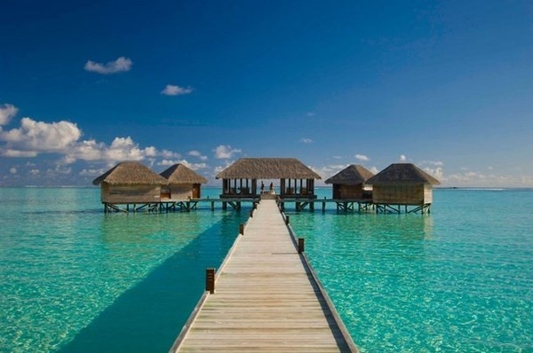Artistic restaurant – inspiring view from underwater restaurant Ithaa #artistic #view #underwater #restaurant