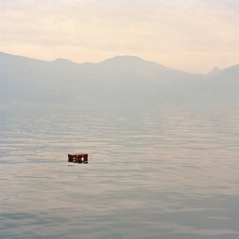 Tina Hillier - Photographer | Notes #fog #water #photography #nature #mountains